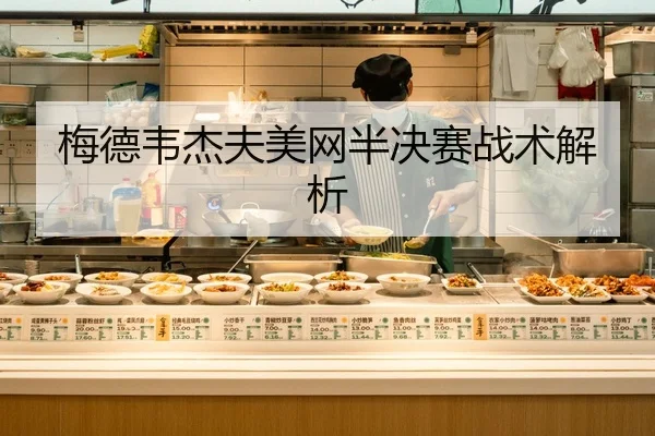 梅德韦杰夫美网半决赛战术解析